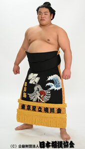 小兵力士（こひょうりきし）とは？現役＆歴代の小さい力士11人を一覧でご紹介！ | 相撲かわら版